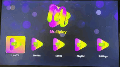 Multi Play